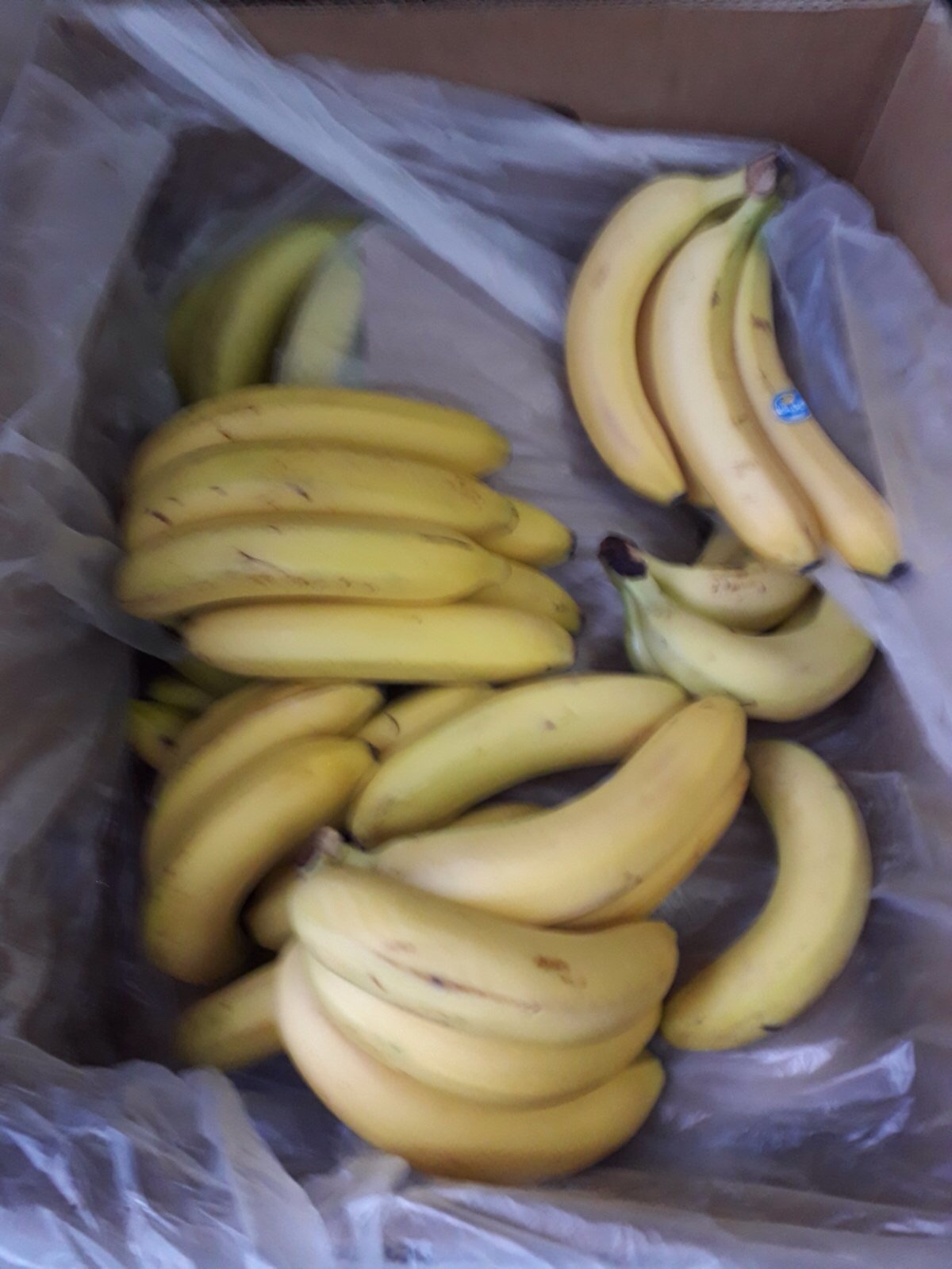 Prepararea bucatelor sunt de calitate