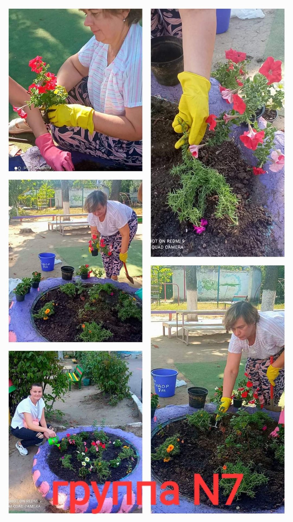 FLORILE NE ÎNFRUMUSEȚIAZĂ VIAȚA