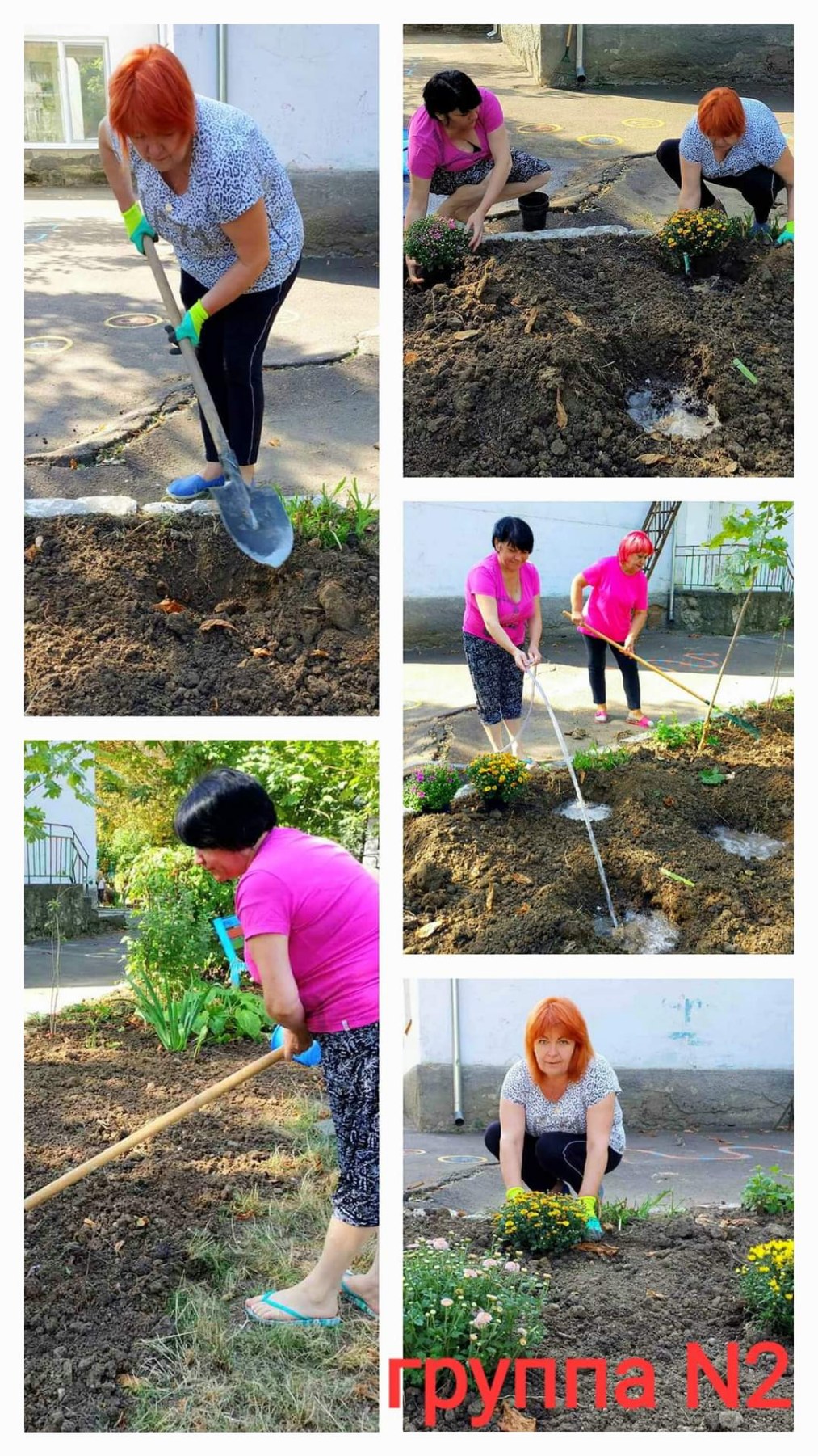 Sădește o plantă pentru un mediul mai curat!